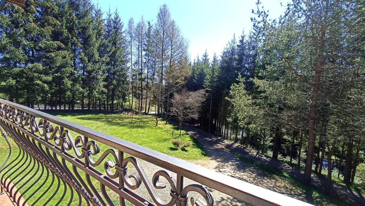 Zacisze Drwala Pension Lutowiska Buitenkant foto
