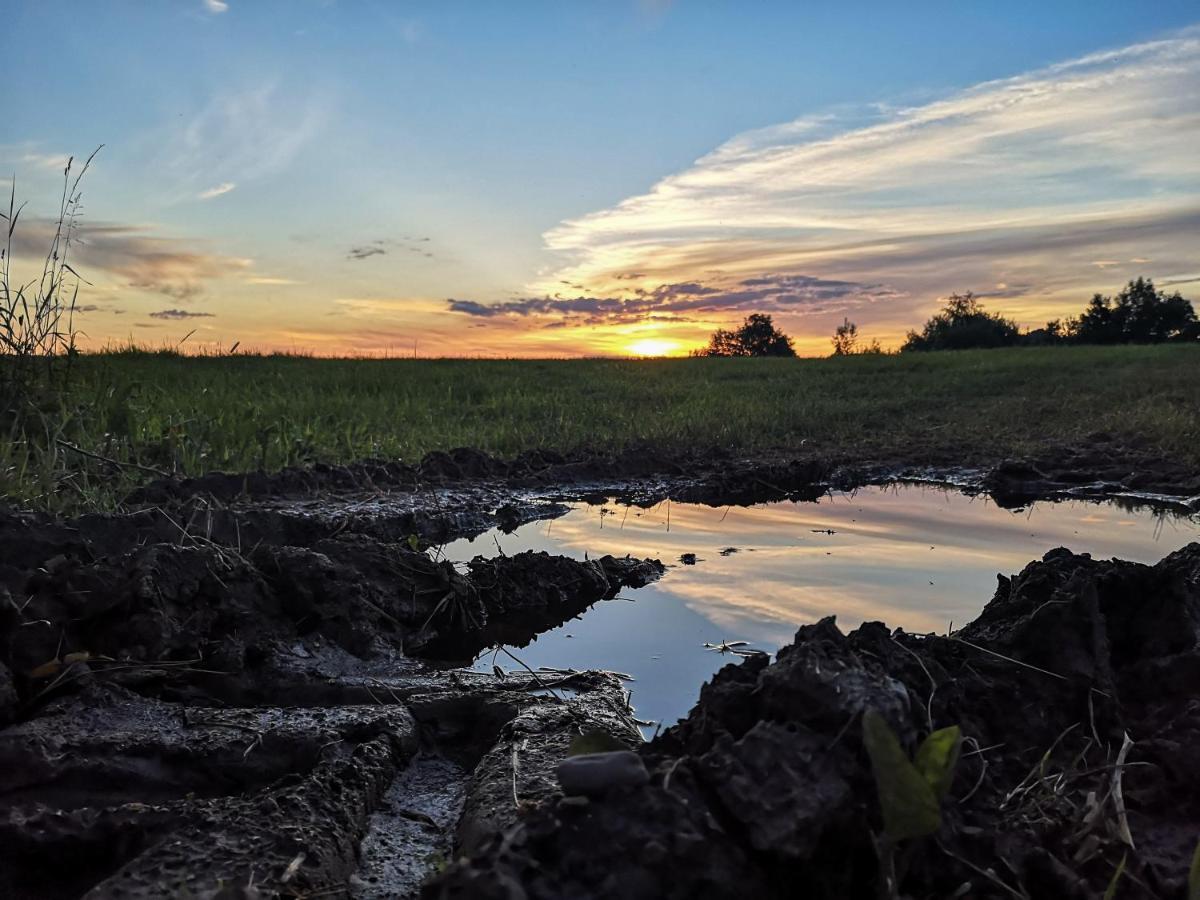 Zacisze Drwala Pension Lutowiska Buitenkant foto