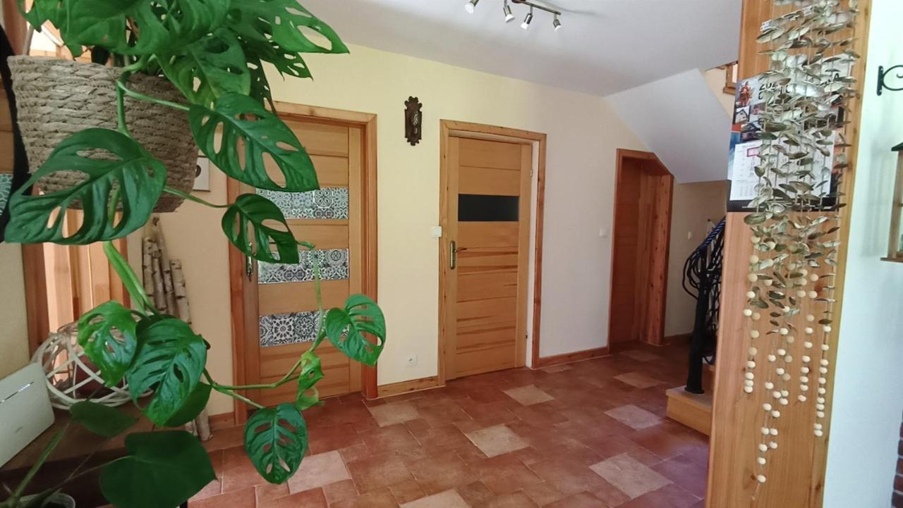 Zacisze Drwala Pension Lutowiska Buitenkant foto