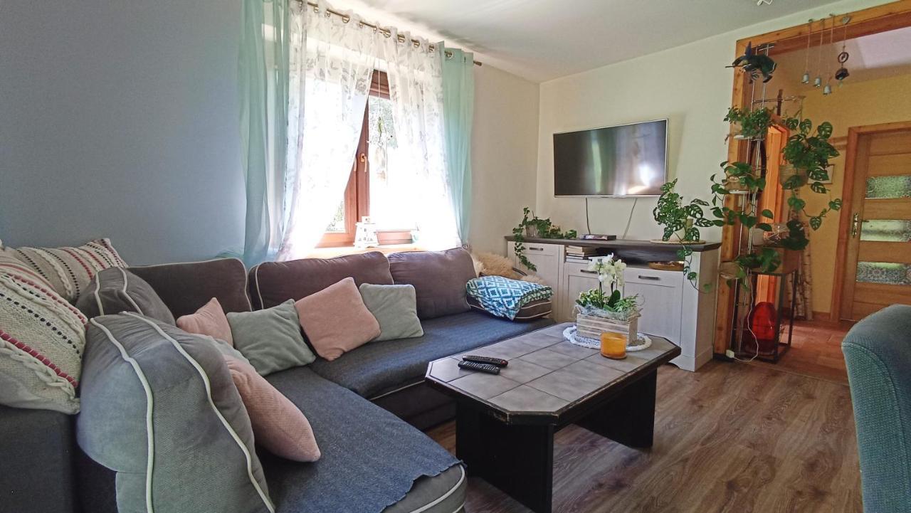Zacisze Drwala Pension Lutowiska Buitenkant foto