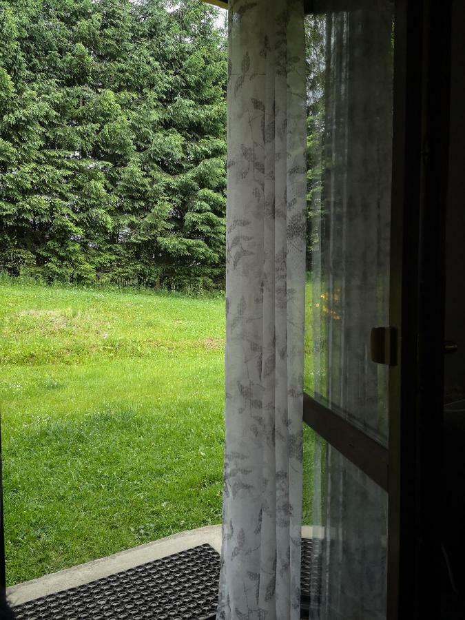 Zacisze Drwala Pension Lutowiska Buitenkant foto