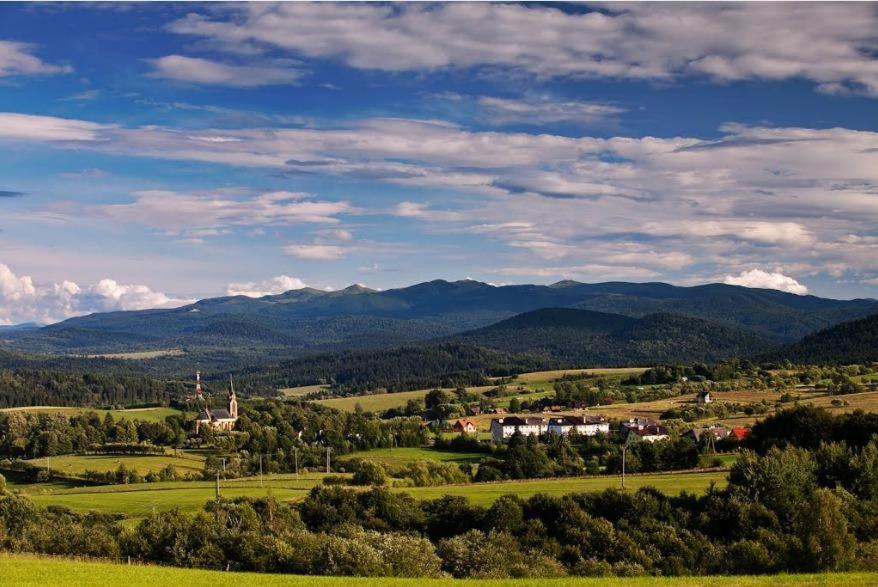 Zacisze Drwala Pension Lutowiska Buitenkant foto